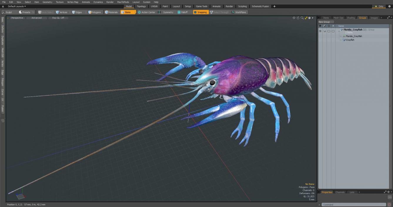 3D Florida Crayfish