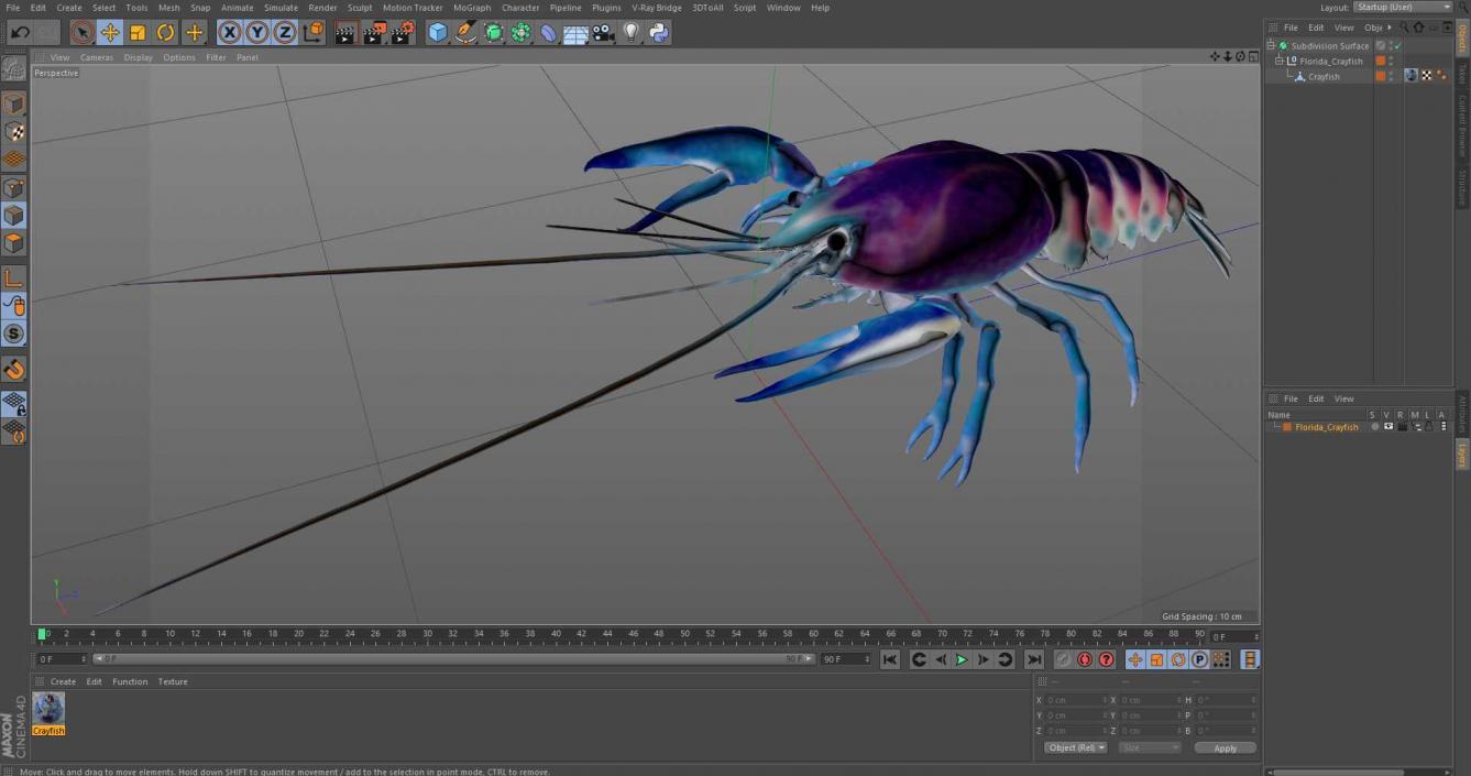 3D Florida Crayfish