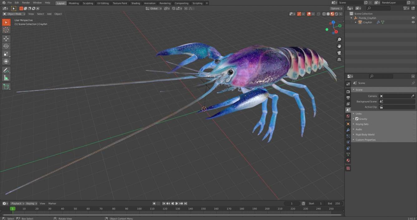 3D Florida Crayfish