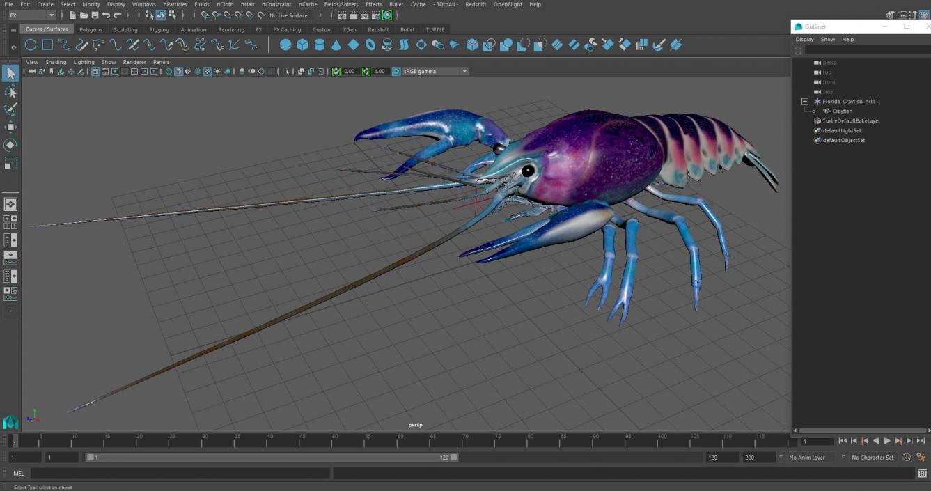 3D Florida Crayfish