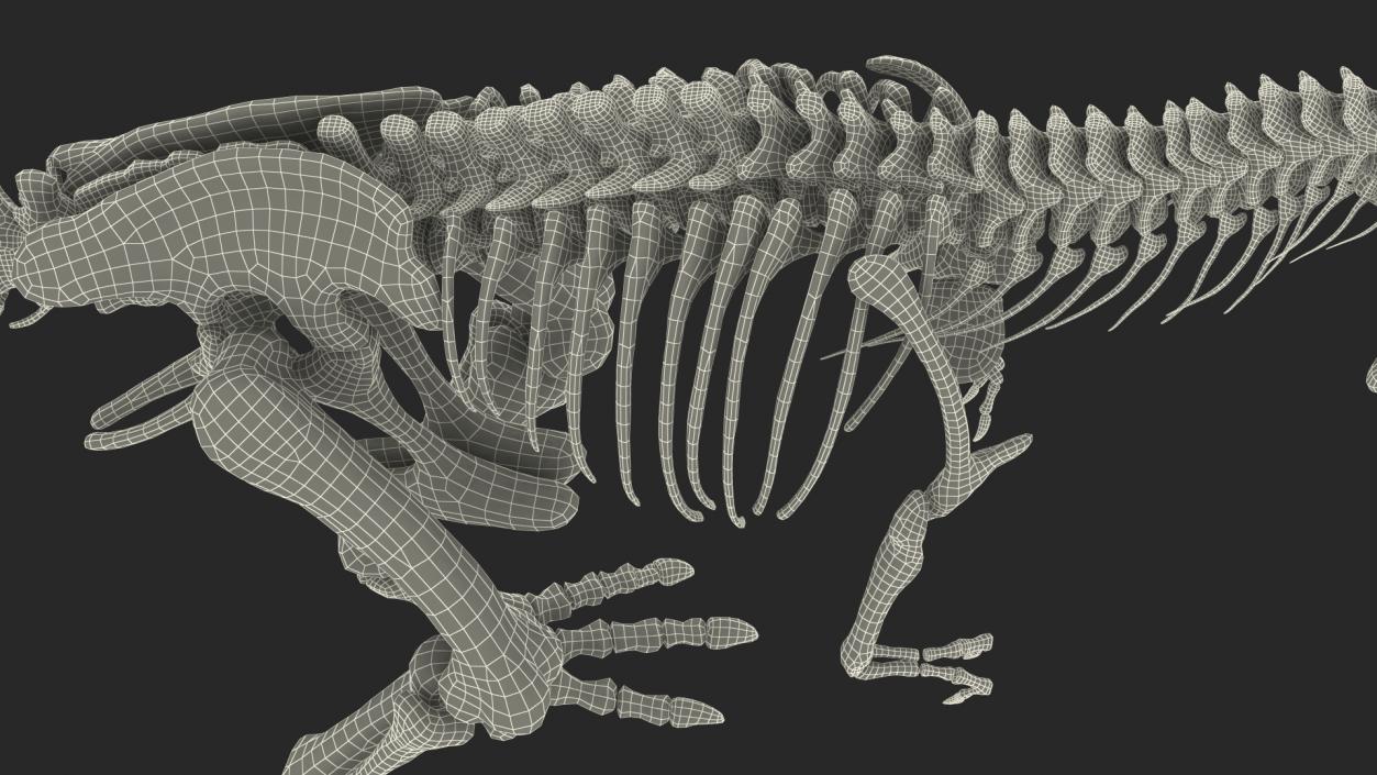 3D Tyrannosaurus Rex Skeleton