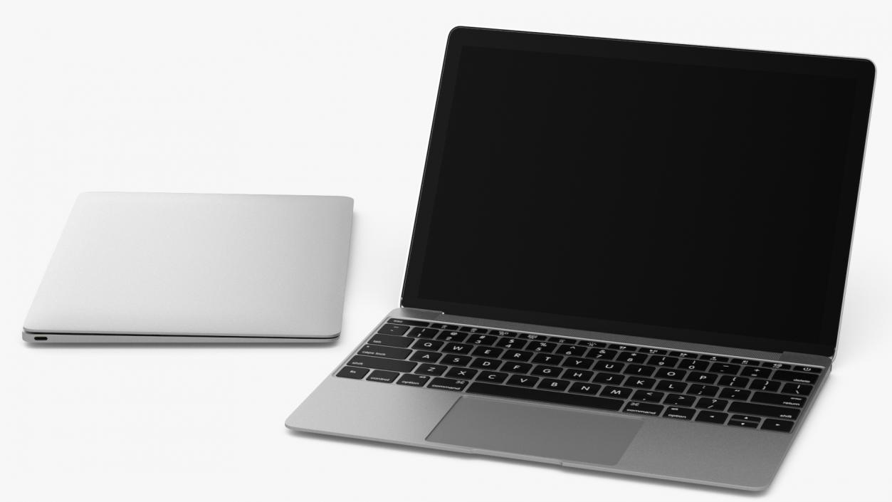 3D Silver Thin Laptop model