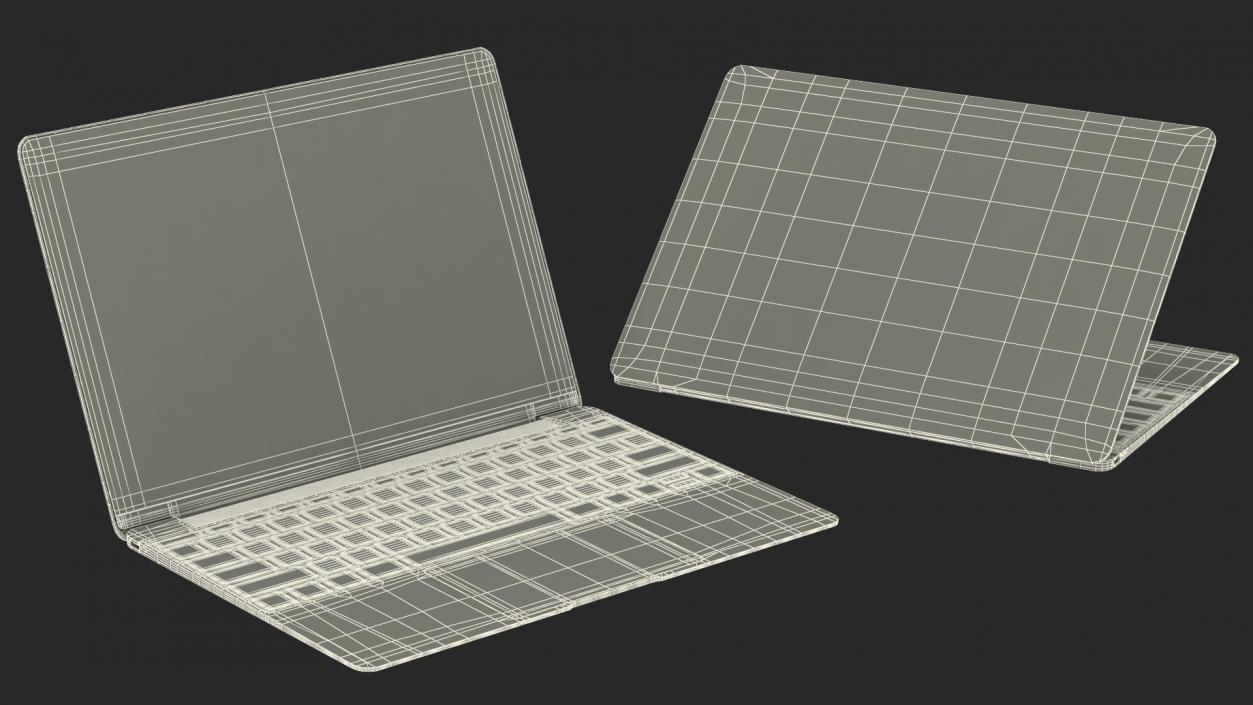 3D Silver Thin Laptop model