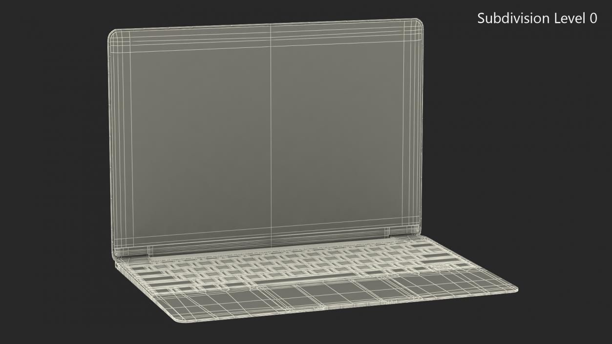 3D Silver Thin Laptop model