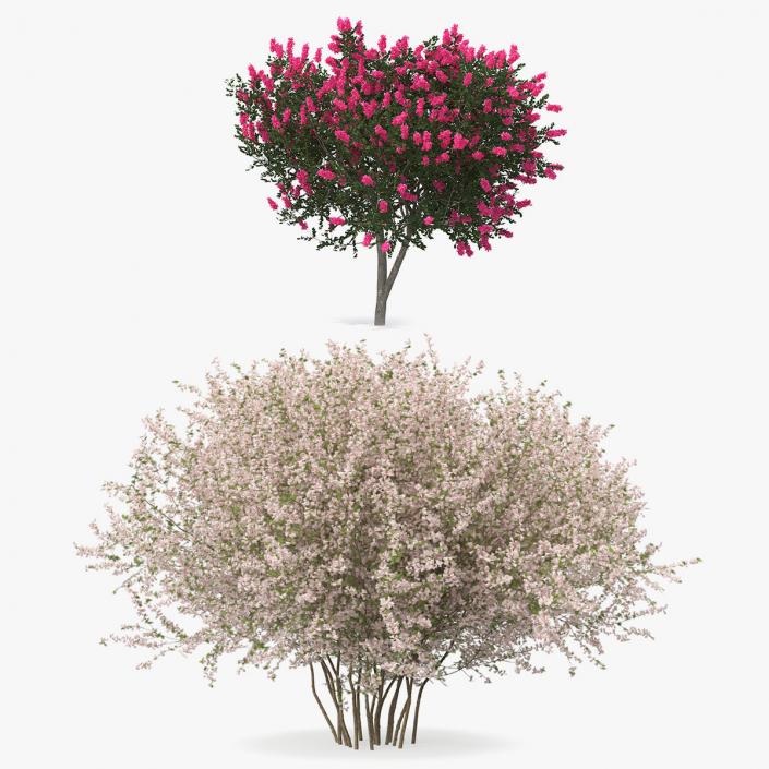 Flowering Bushes 3D Models Collection 3D