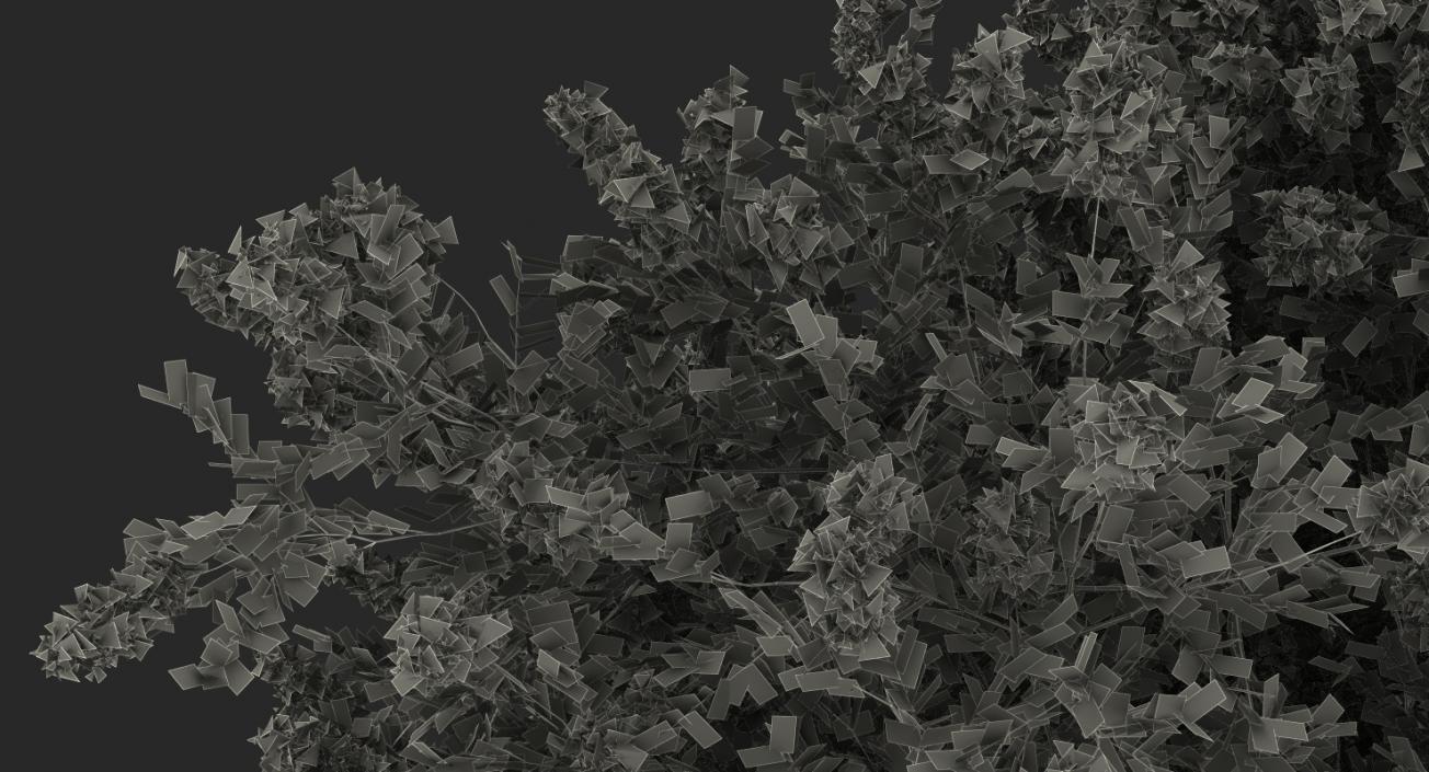 Flowering Bushes 3D Models Collection 3D