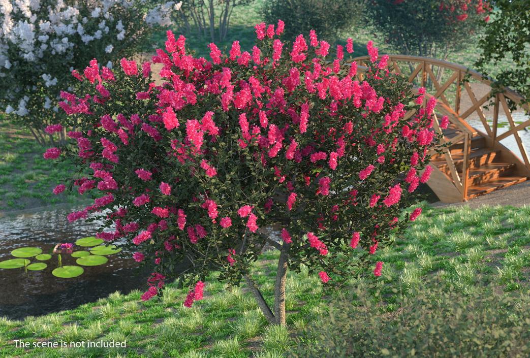 Flowering Bushes 3D Models Collection 3D