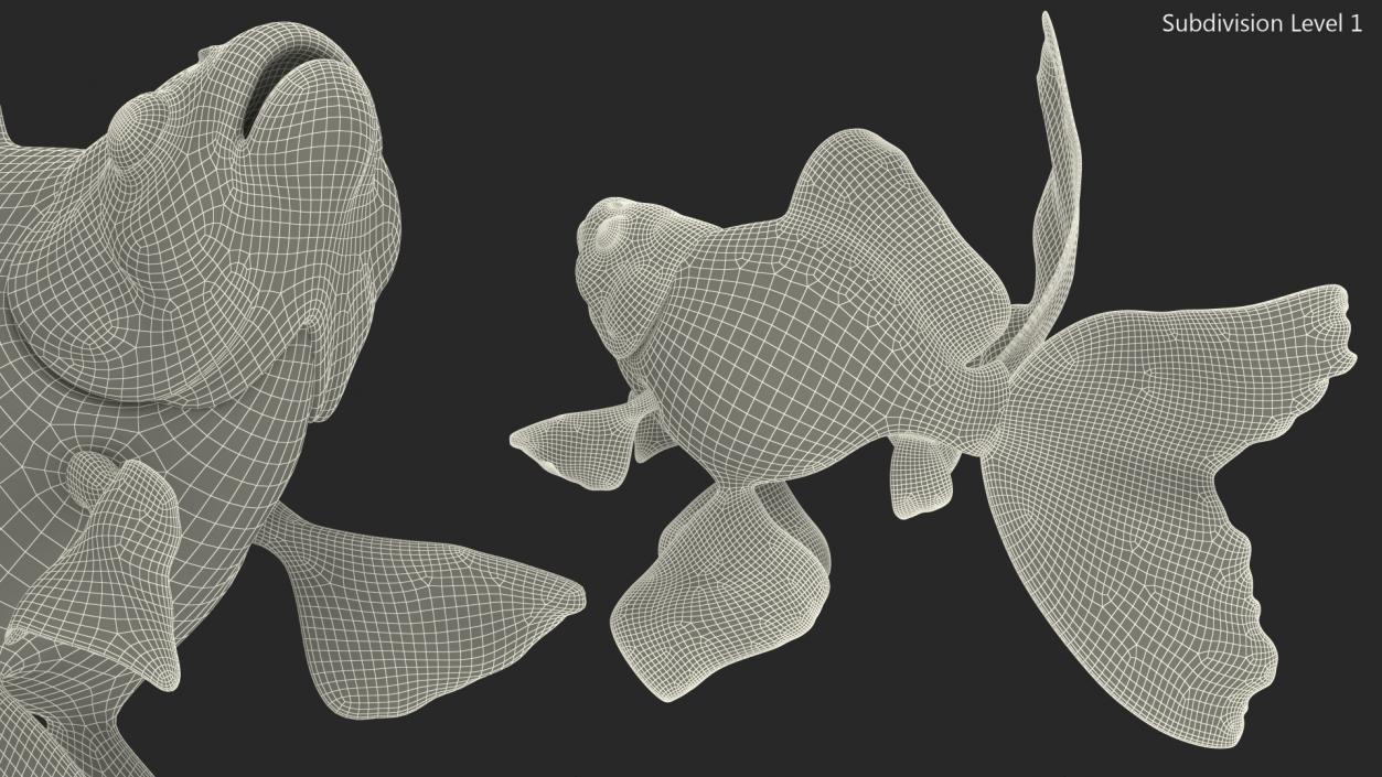 Black Moor Goldfish Swim 3D model