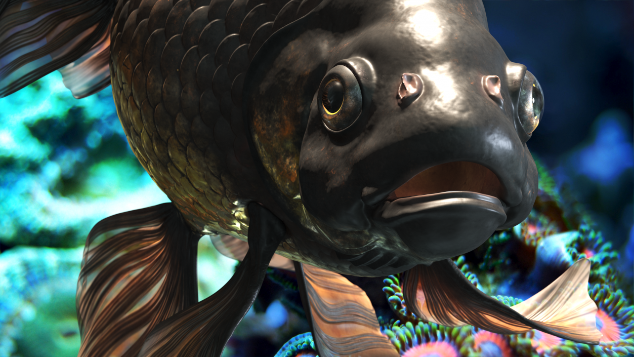 Black Moor Goldfish Swim 3D model