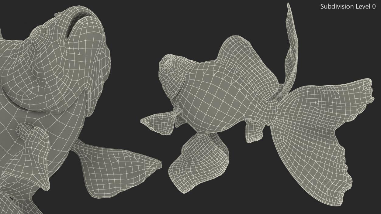 Black Moor Goldfish Swim 3D model