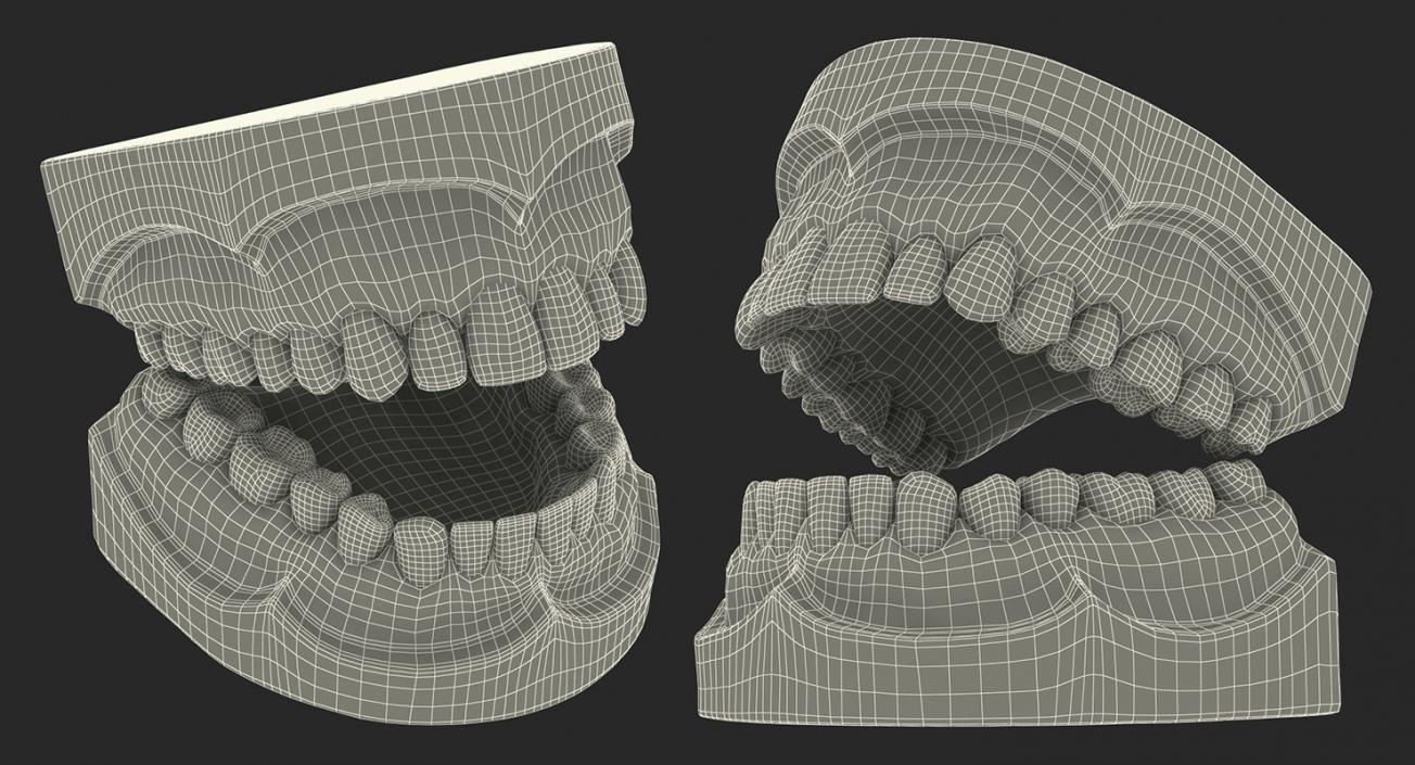 Dental Collection 5 3D model