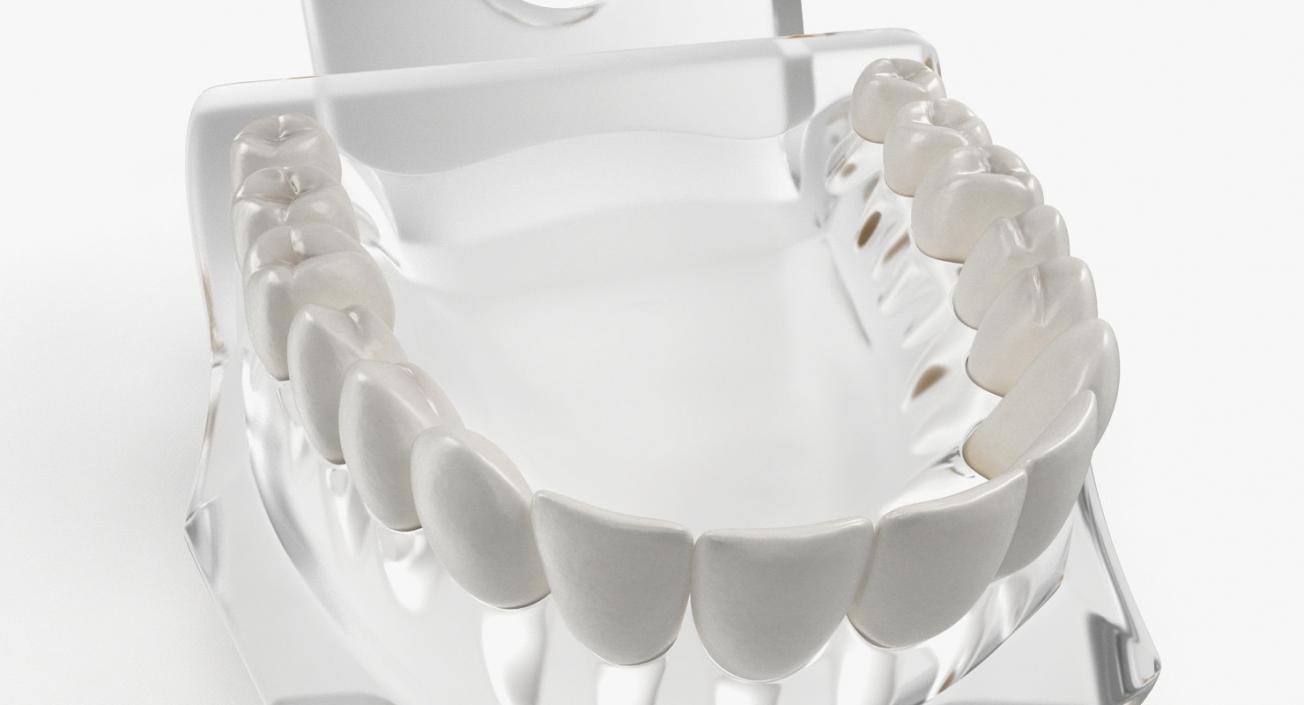 Dental Collection 5 3D model