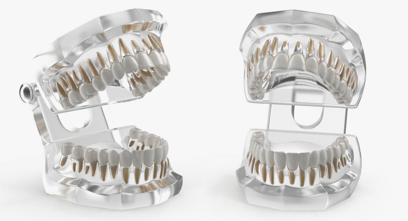 Dental Collection 5 3D model