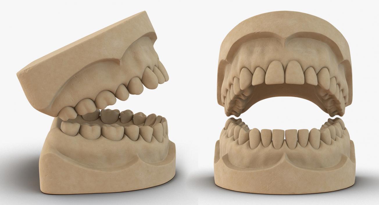 Dental Collection 5 3D model