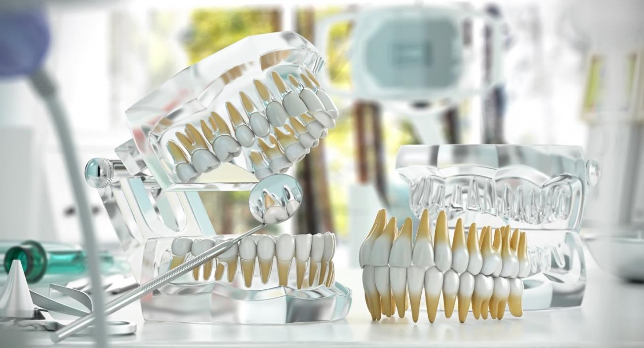 Dental Collection 5 3D model