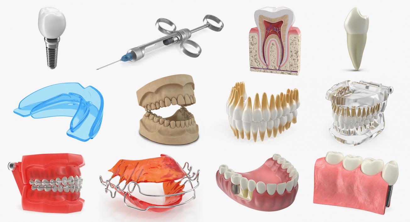 Dental Collection 5 3D model