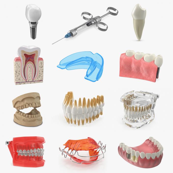 Dental Collection 5 3D model