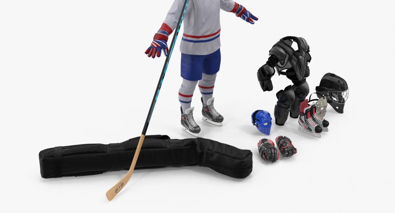 Hockey Collection 3D