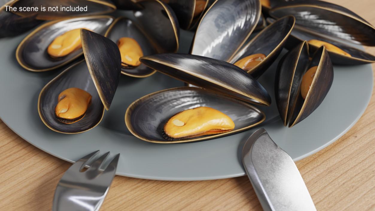 Boiled Sea Mussel 2 3D model