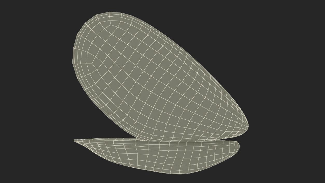 Boiled Sea Mussel 2 3D model