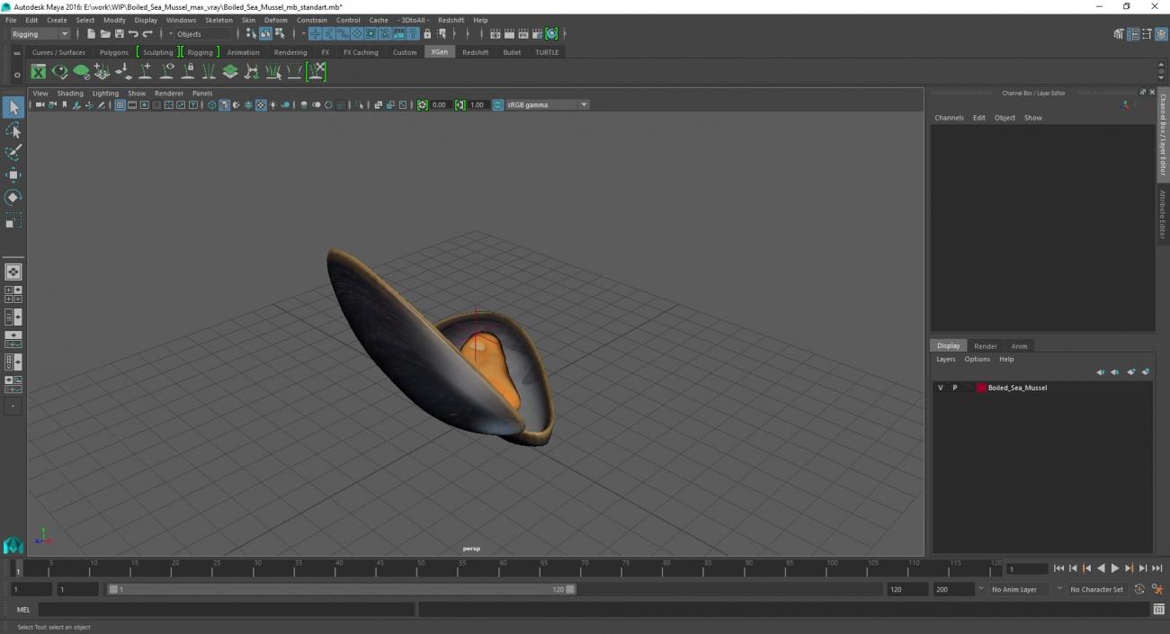 Boiled Sea Mussel 2 3D model