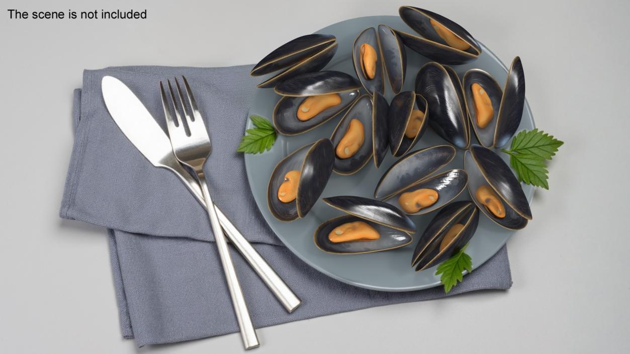 Boiled Sea Mussel 2 3D model