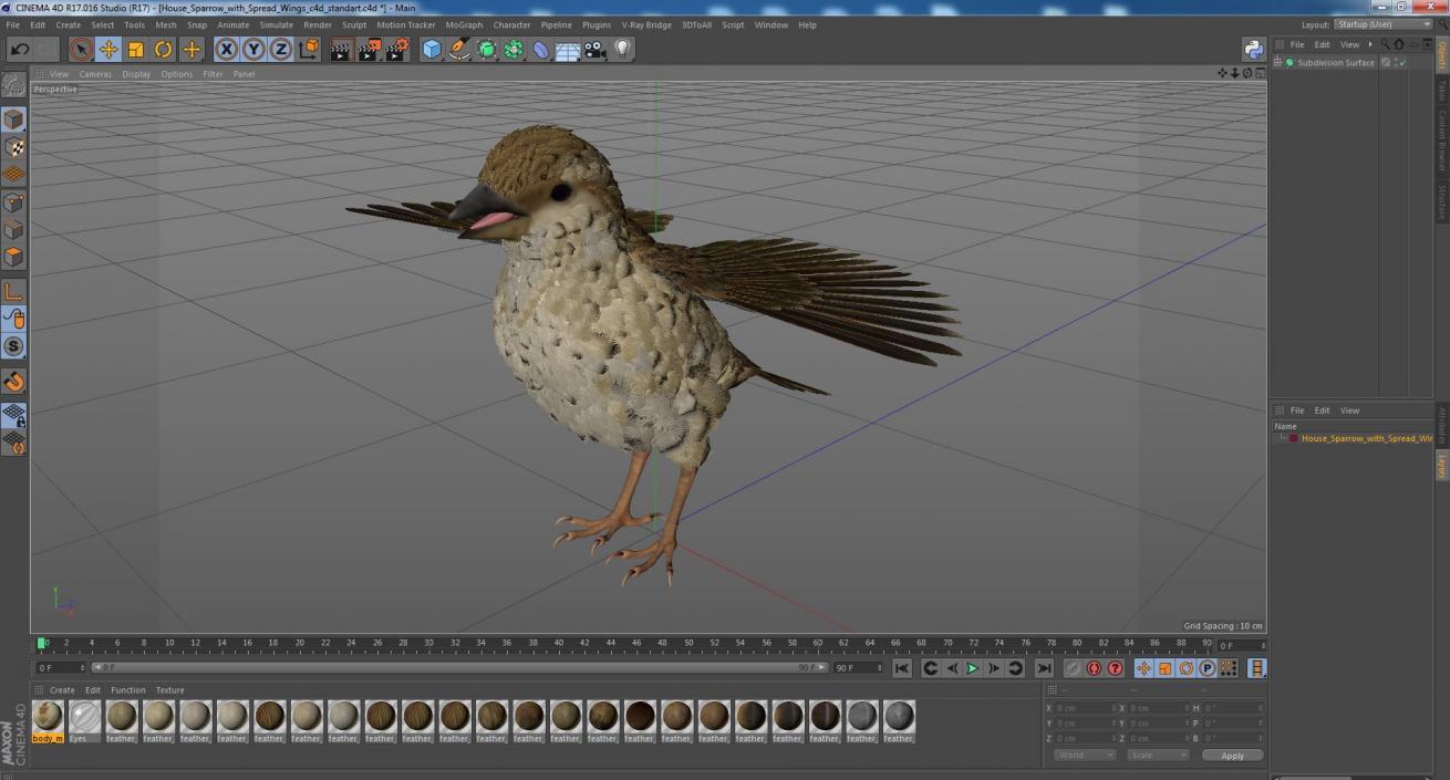 3D House Sparrow with Spread Wings