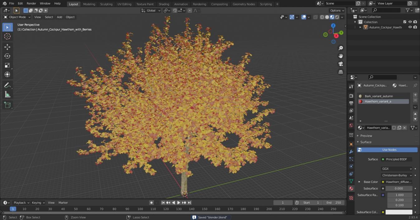 3D Autumn Cockpur Hawthorn with Berries