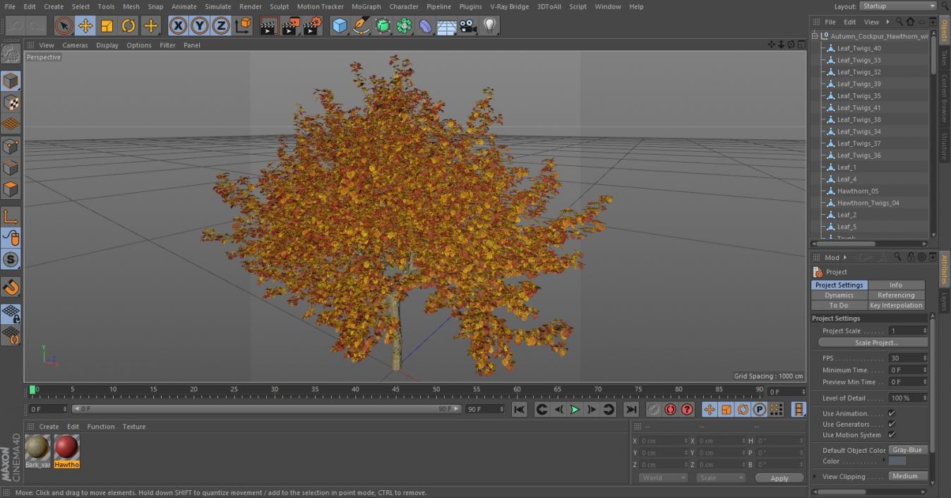 3D Autumn Cockpur Hawthorn with Berries