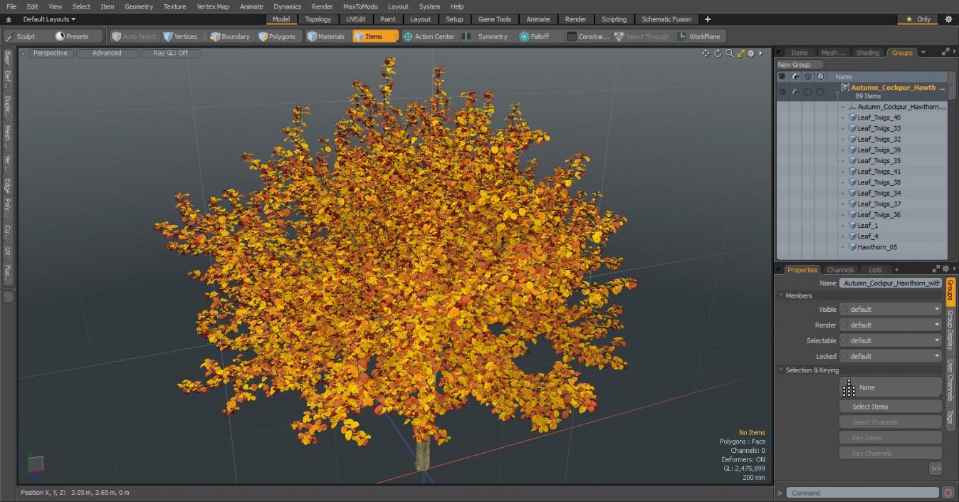 3D Autumn Cockpur Hawthorn with Berries