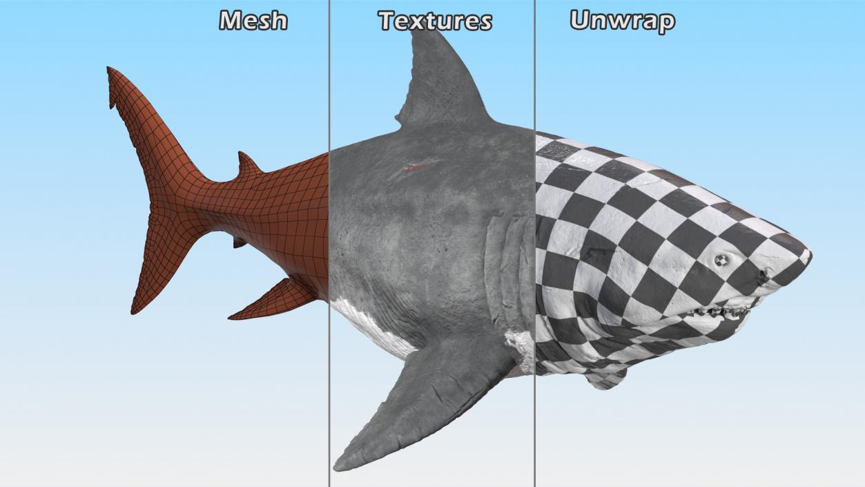 3D Rigged Sharks Collection 8