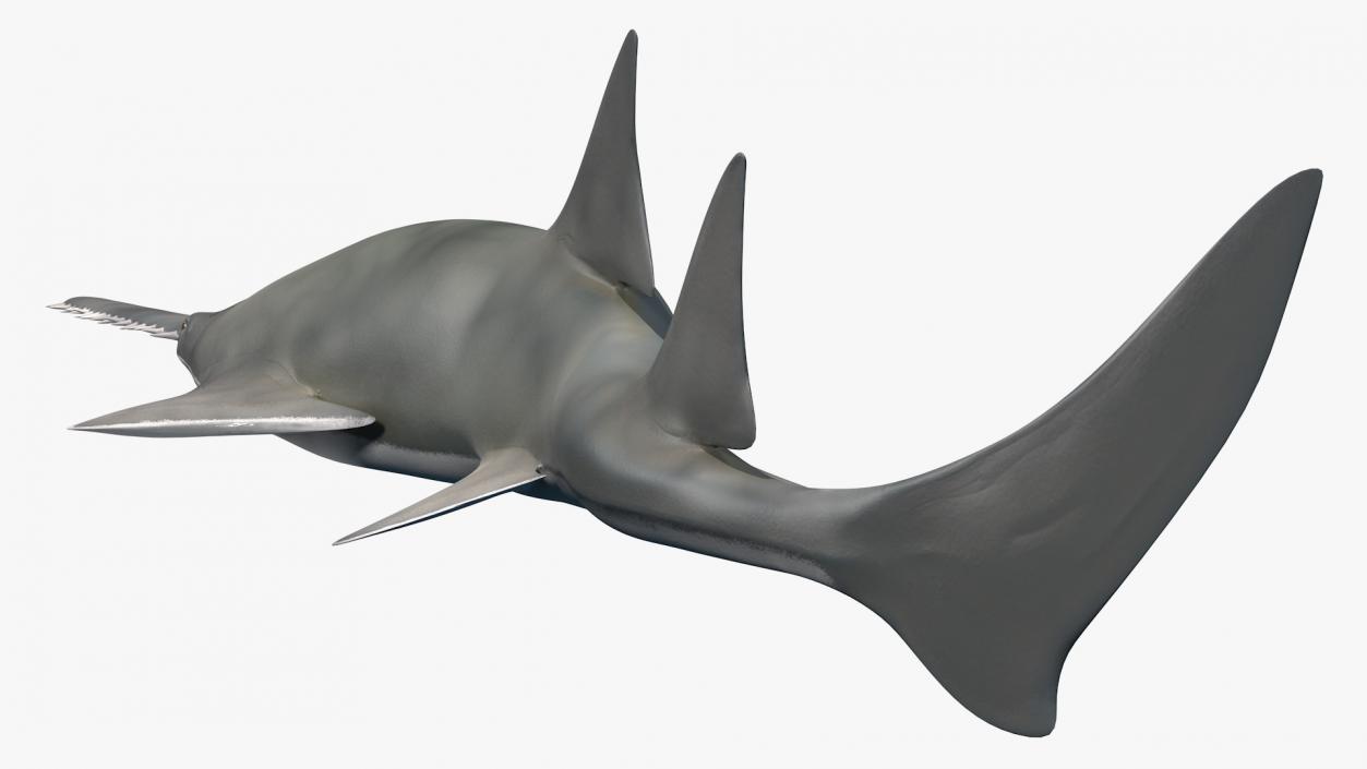 3D Rigged Sharks Collection 8