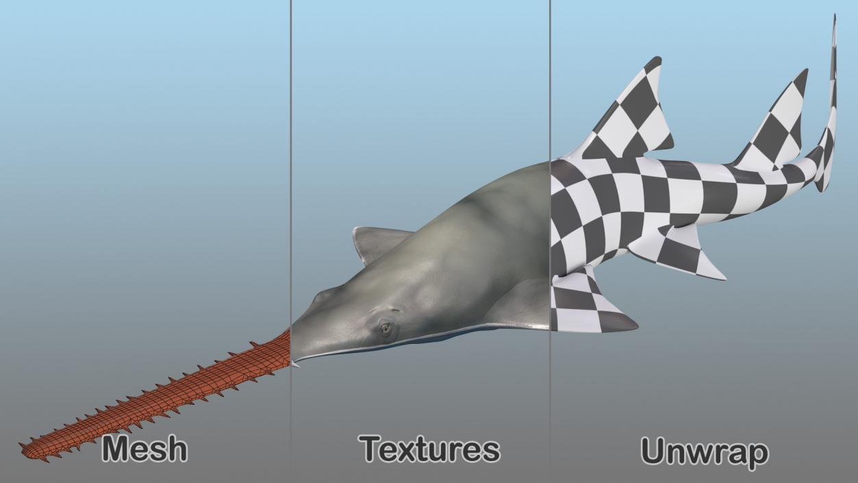 3D Rigged Sharks Collection 8