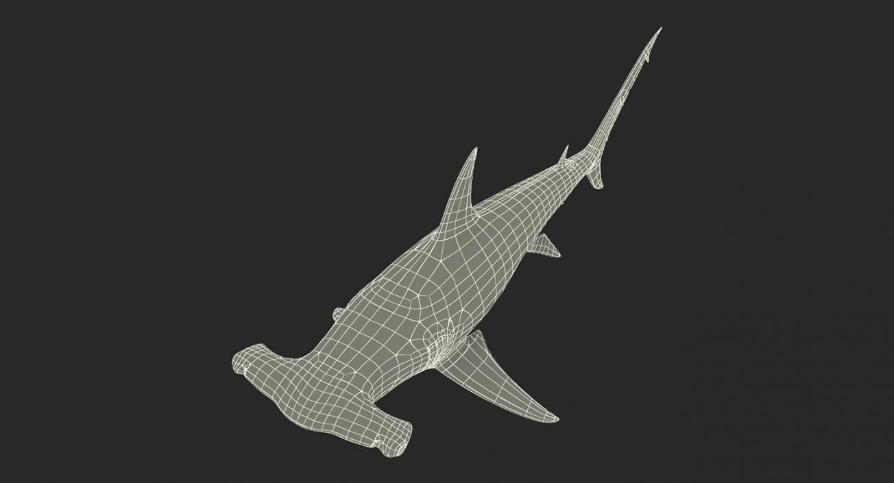 3D Rigged Sharks Collection 8