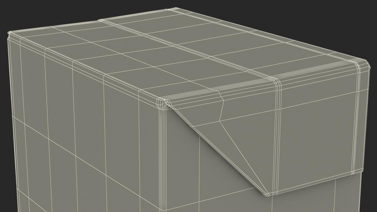 Rectangular Aseptic Carton Package 3D model