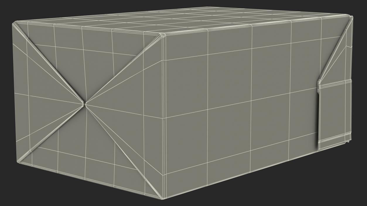 Rectangular Aseptic Carton Package 3D model