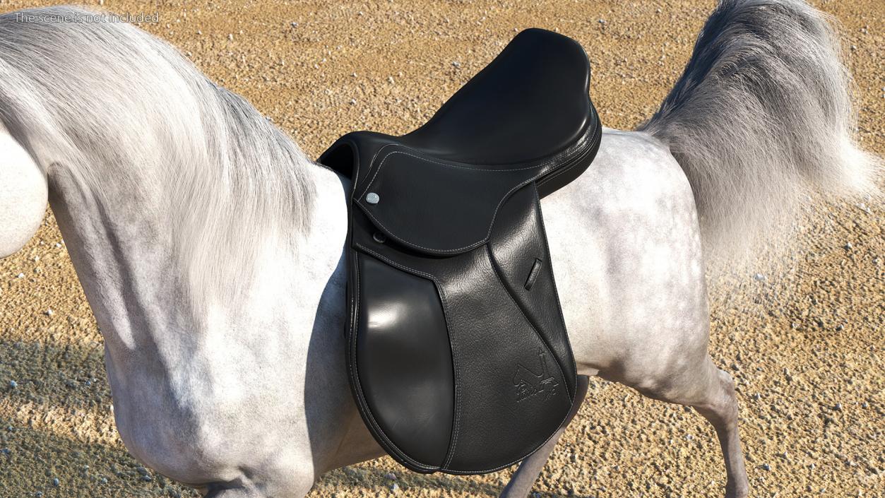 3D Premium All Purpose Saddle