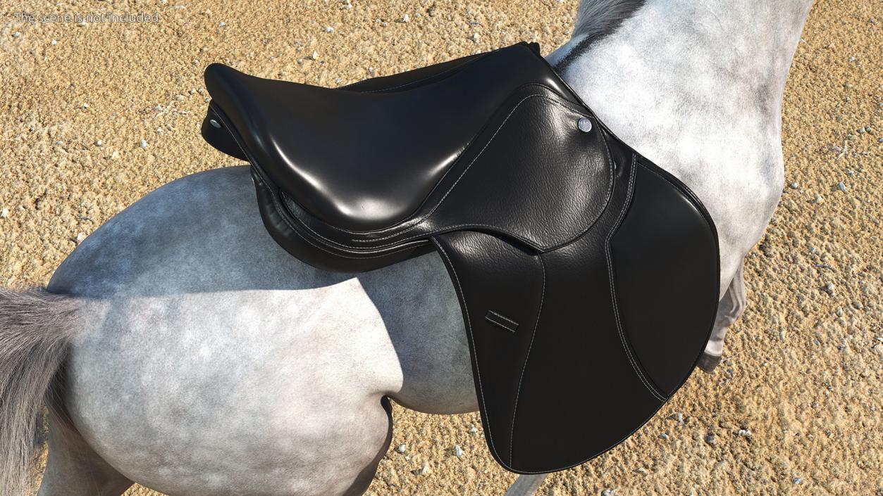 3D Premium All Purpose Saddle