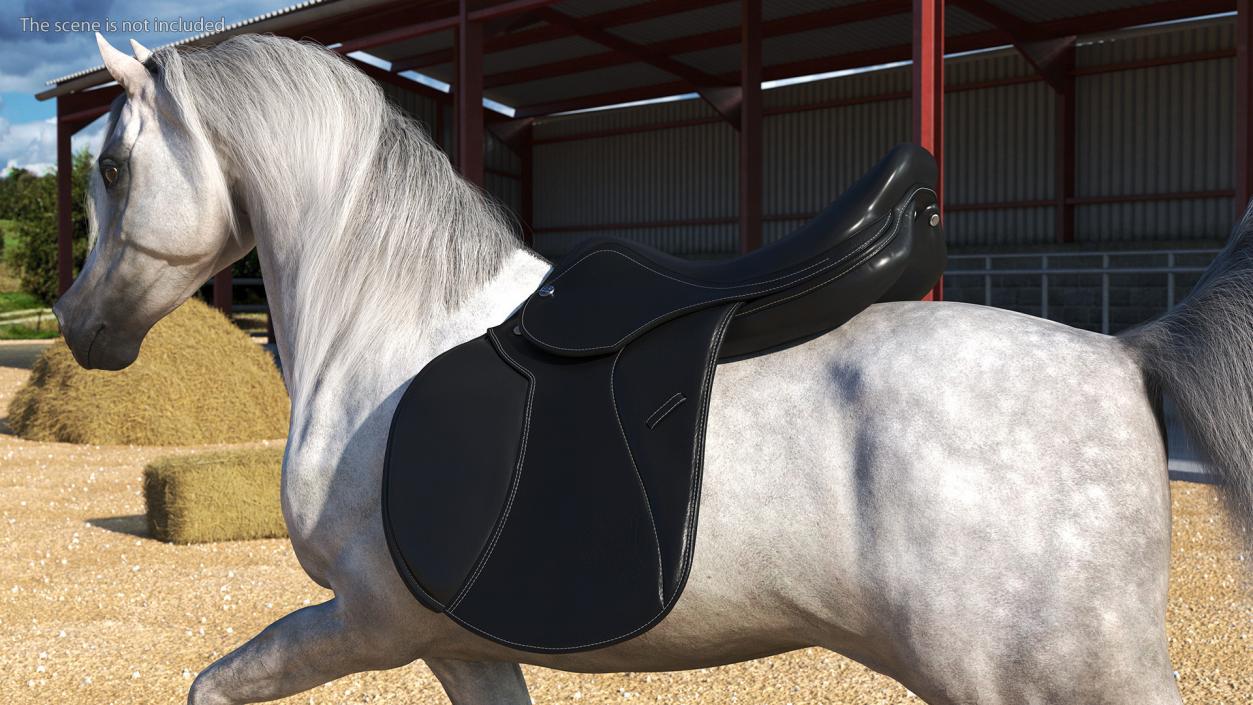 3D Premium All Purpose Saddle