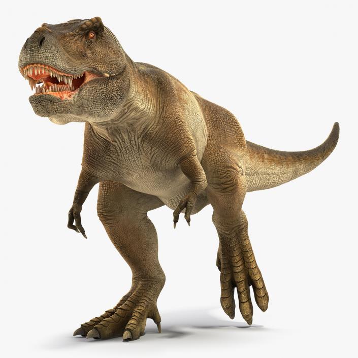 3D Animated Tyrannosaurus Rex Running Rigged