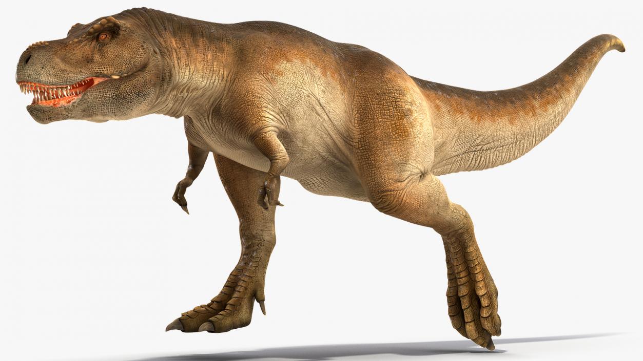 3D Animated Tyrannosaurus Rex Running Rigged