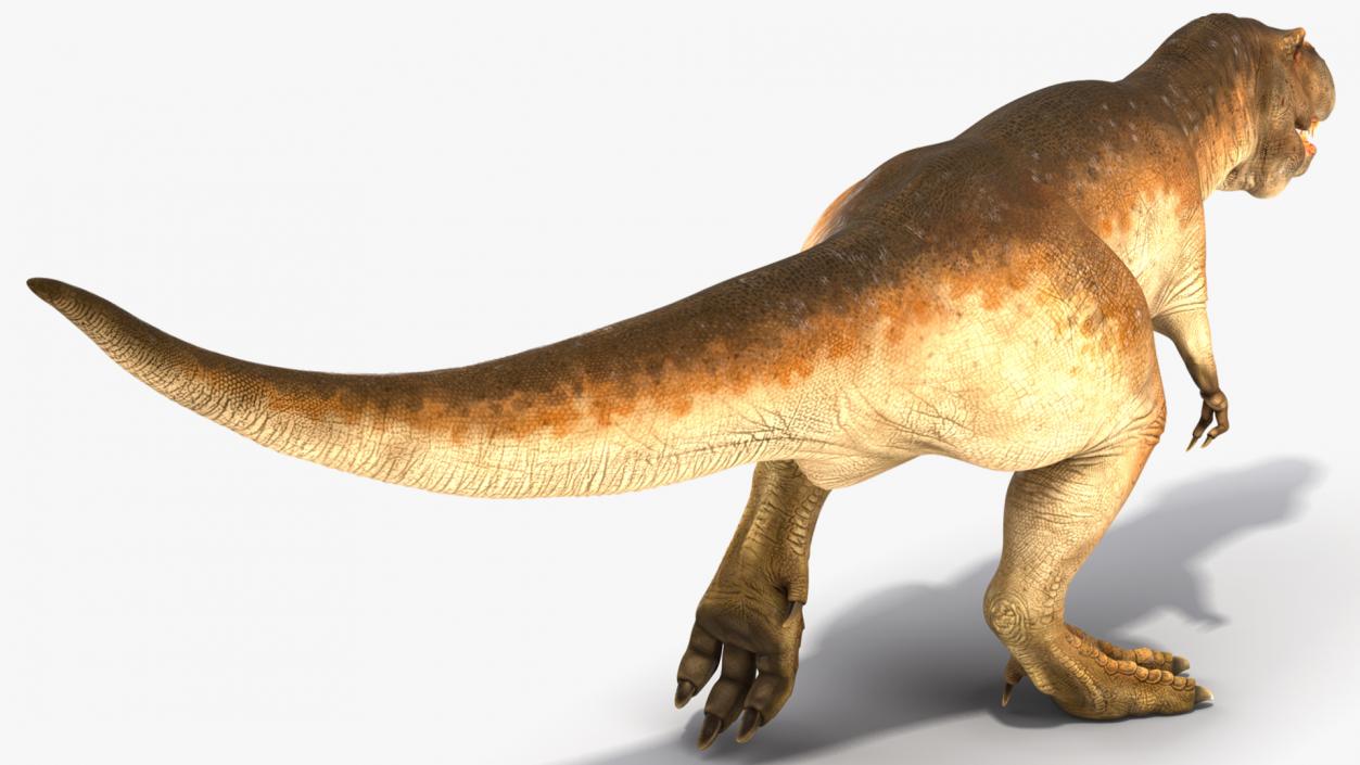 3D Animated Tyrannosaurus Rex Running Rigged