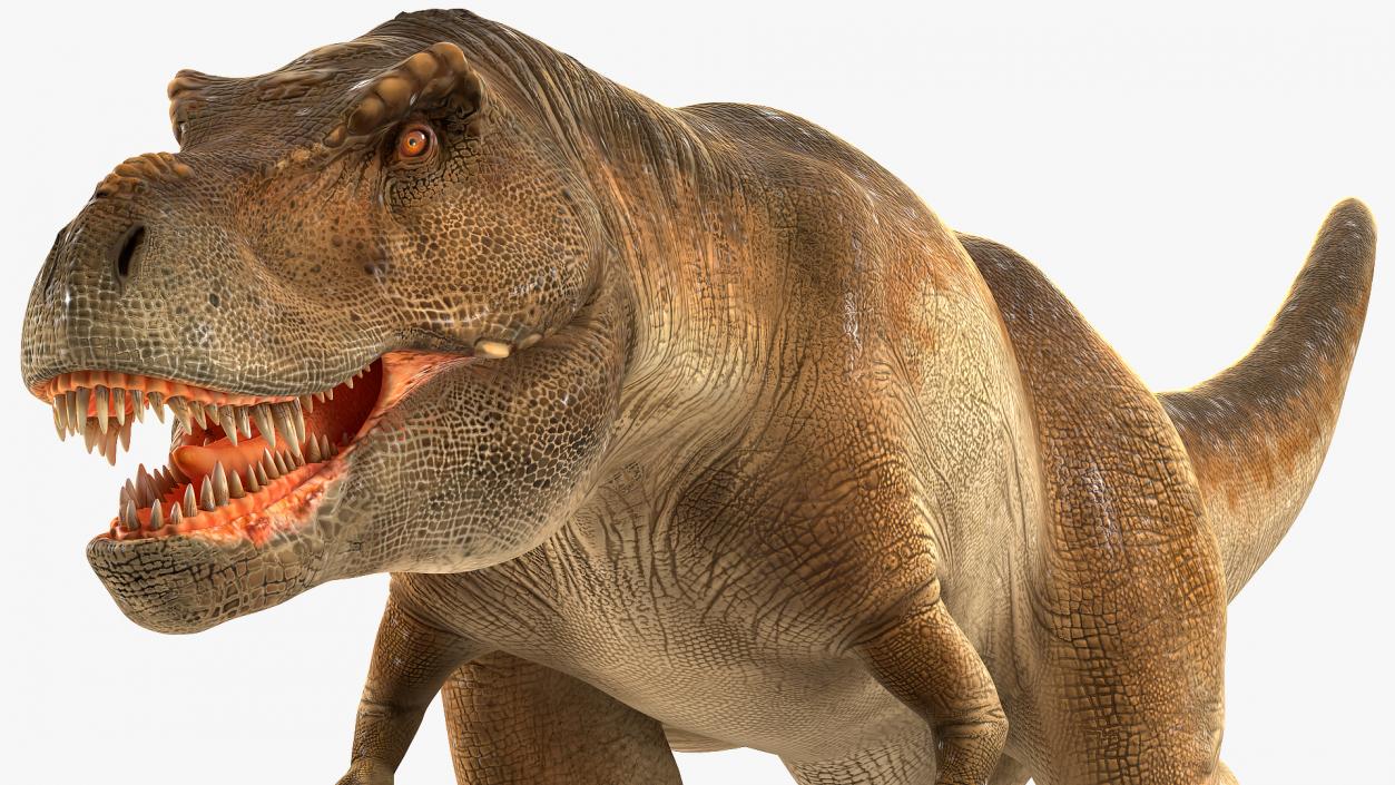 3D Animated Tyrannosaurus Rex Running Rigged