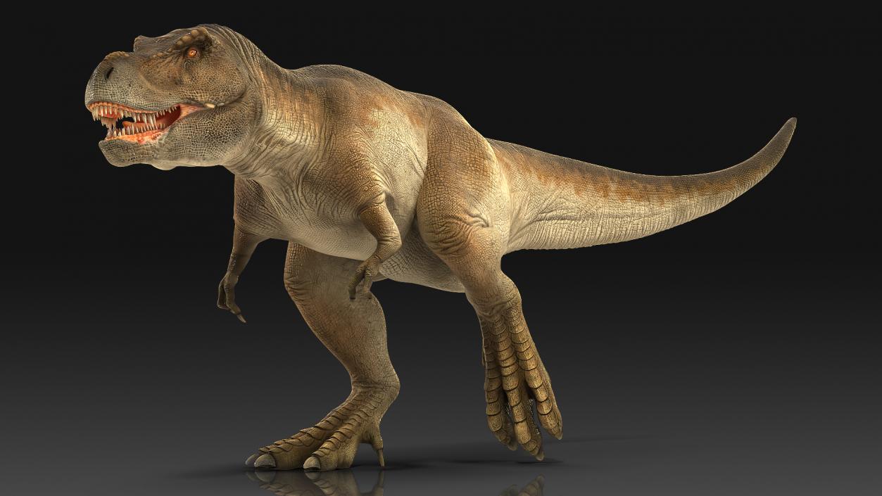 3D Animated Tyrannosaurus Rex Running Rigged