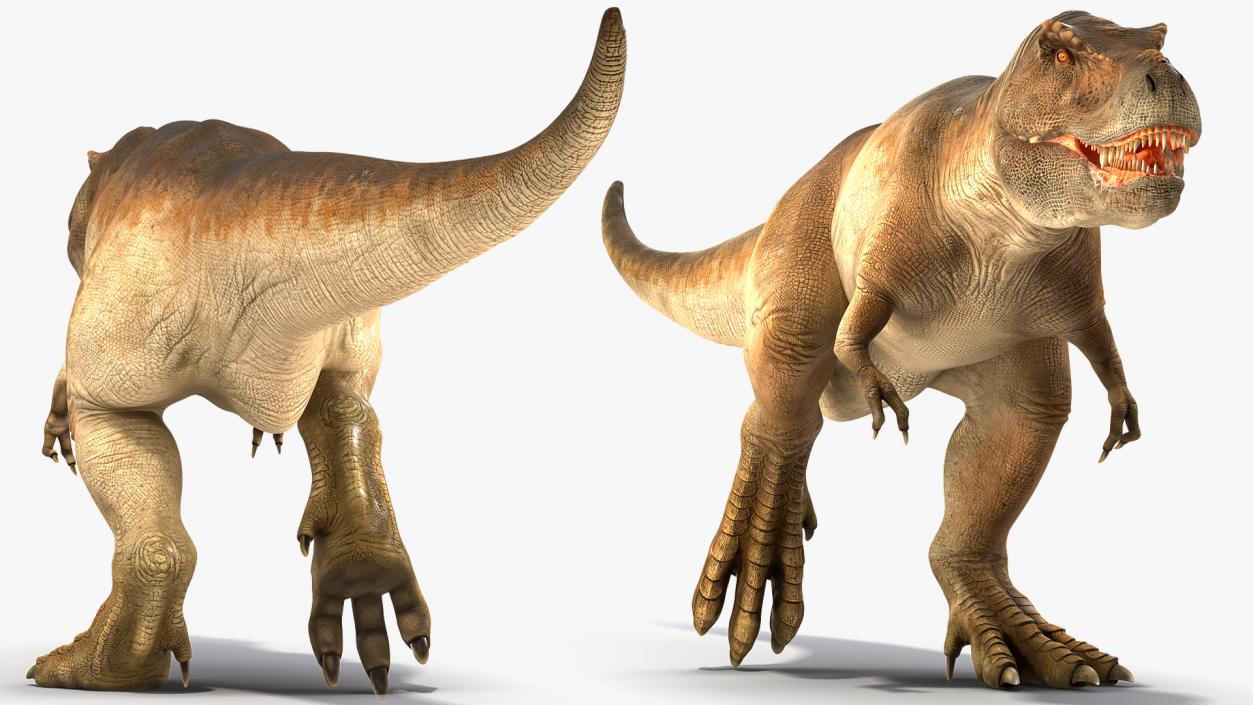 3D Animated Tyrannosaurus Rex Running Rigged