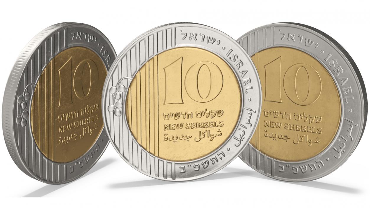 3D Israeli 10 New Shekel Coin