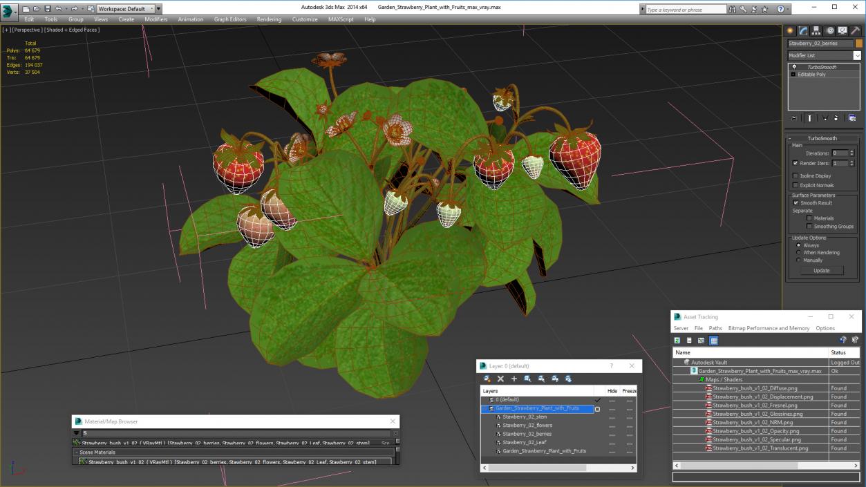 3D model Garden Strawberry Plant with Fruits