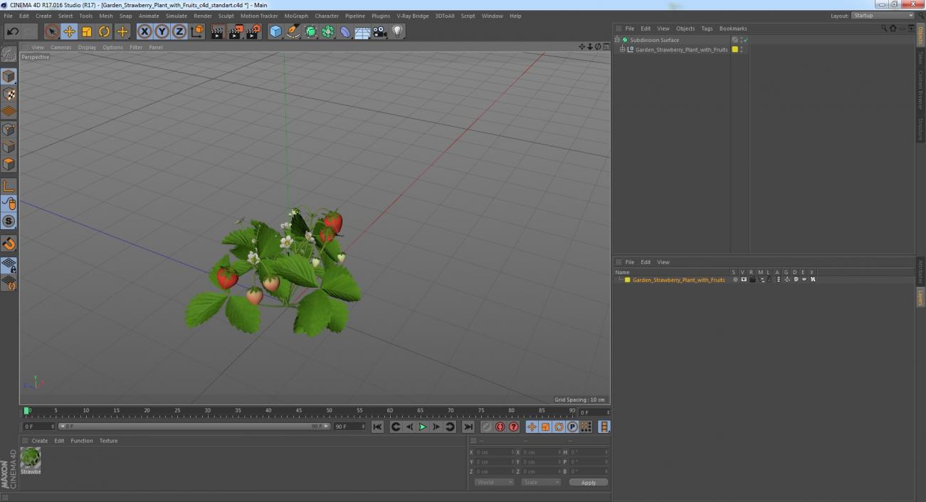 3D model Garden Strawberry Plant with Fruits