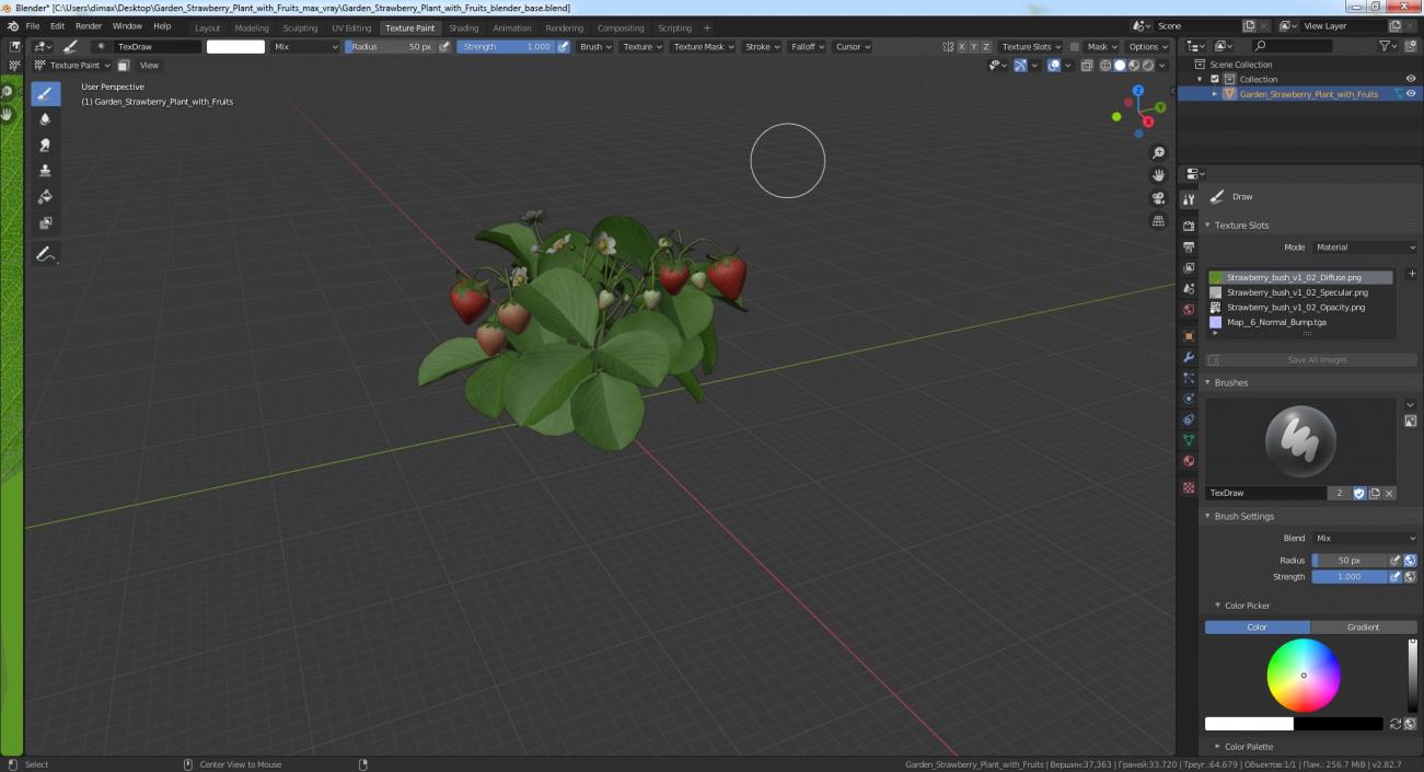 3D model Garden Strawberry Plant with Fruits