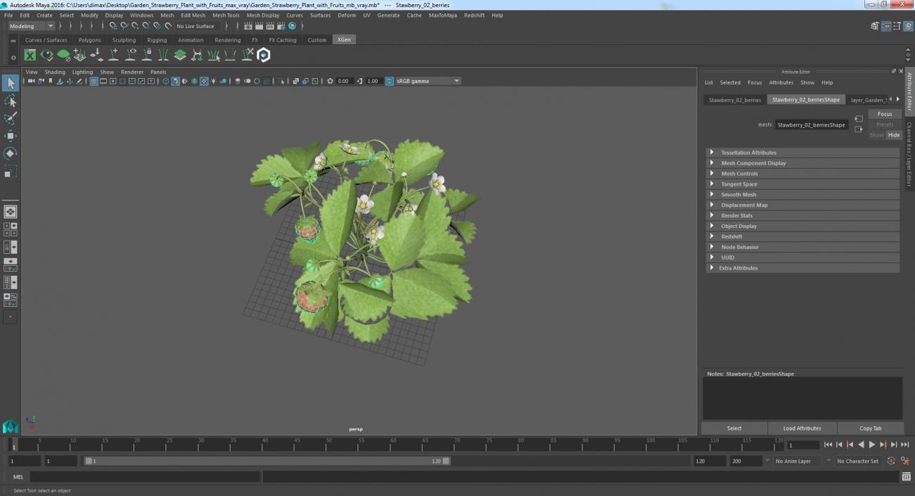 3D model Garden Strawberry Plant with Fruits